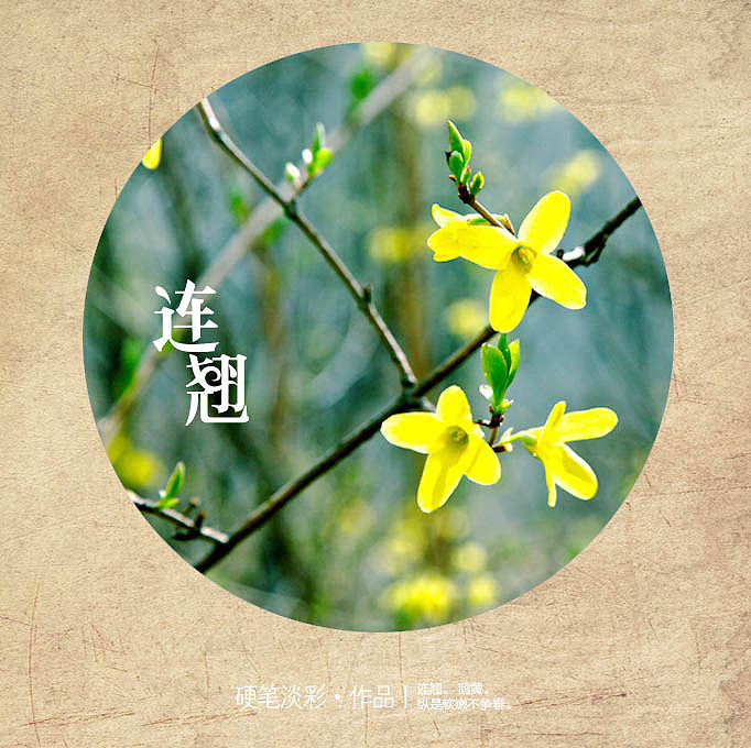 字体设计（图ZODgxODczNg==） - 字体/字形 - 站酷设计师硬笔淡彩原创素材 - 站酷ZCOOL