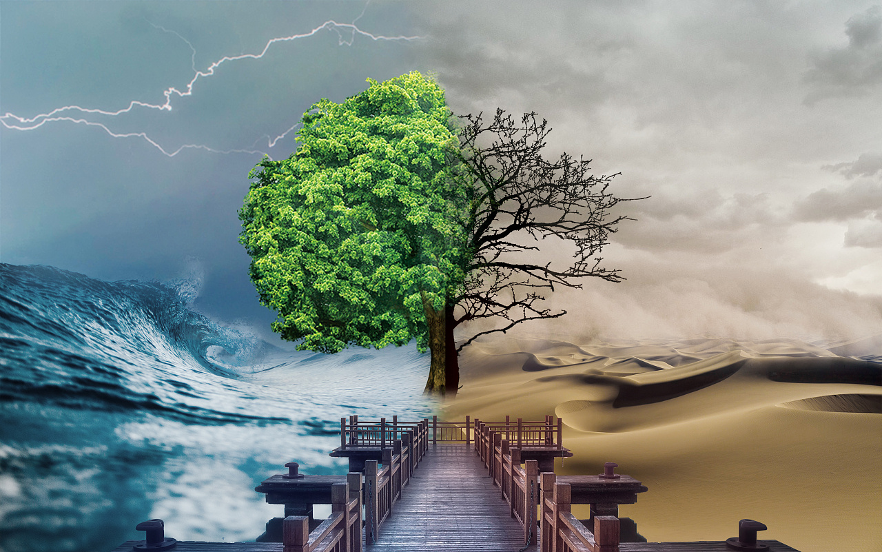 保护自然爱护环境