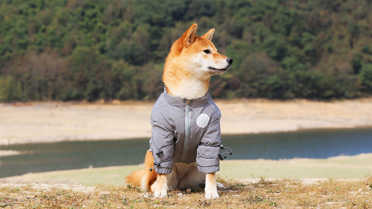 飘里的冬日~