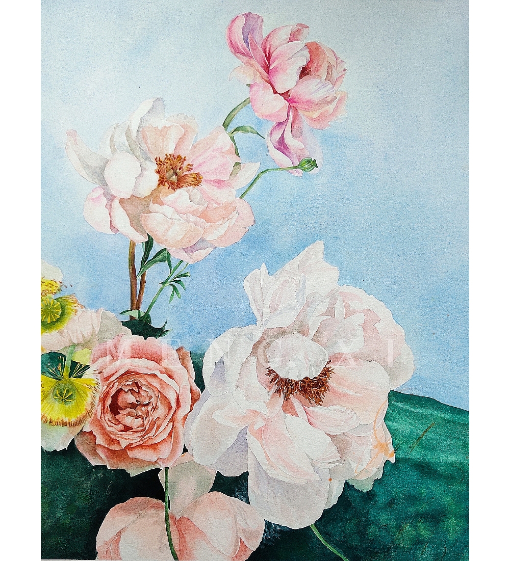 水彩花卉四开|纯艺术|绘画|是梦兮啊_原创作品-站酷(zcool)