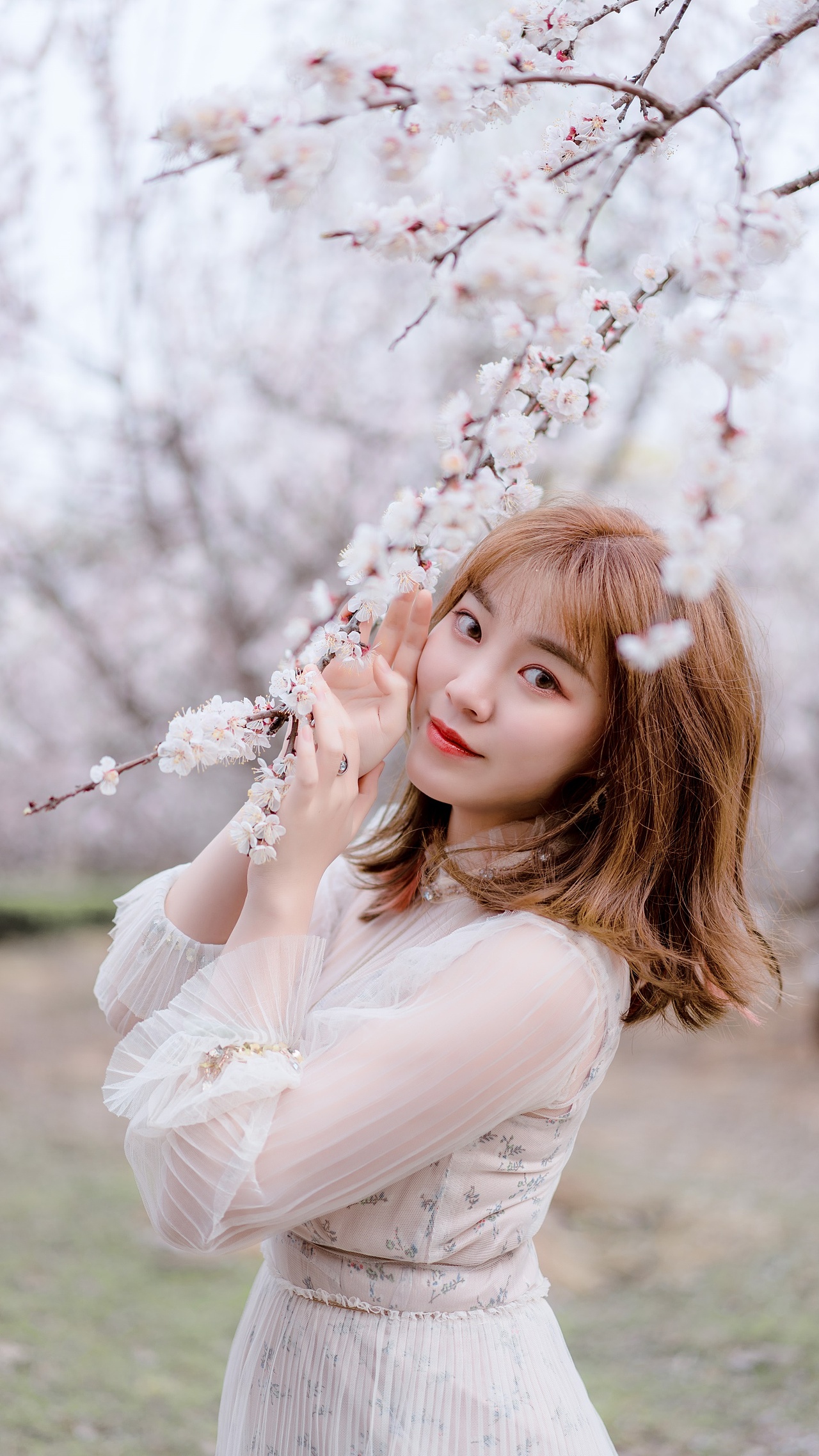 春天杏花丛中的女孩（图ZMjAzNTMyMzY0） - 人像摄影 - 站酷设计师下水道的导游原创素材 - 站酷ZCOOL