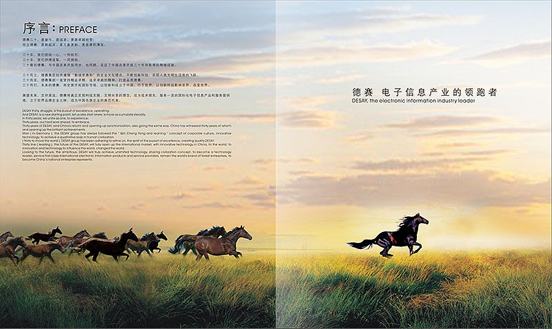 荣耀堂设计德赛集团画册（图ZNzczMzAwNzI=） - 书籍/画册 - 站酷设计师荣耀堂原创素材 - 站酷ZCOOL