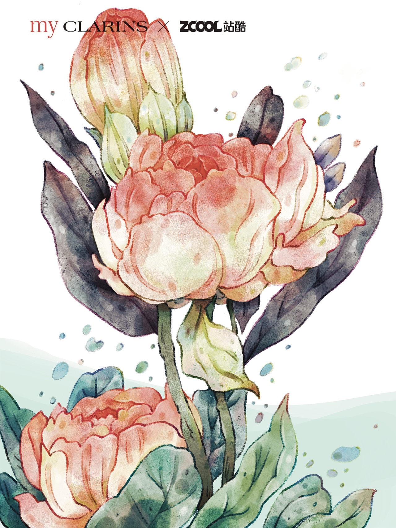 #my CLARINS 寻找天然肌# 含苞盛放（图ZMjk0MDIzMzEy） - 商业插画 - 站酷设计师Flankie原创素材 - 站酷ZCOOL