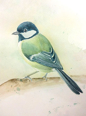 第1期手绘水彩花鸟班作品