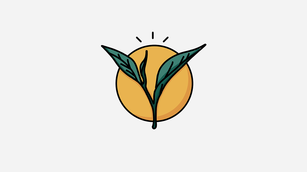 武夷山茶葉組合包裝（圖ZMjE2MzM0Mzcy） - 包裝 - 站酷設(shè)計(jì)師逆光塵落原創(chuàng)素材 - 站酷ZCOOL