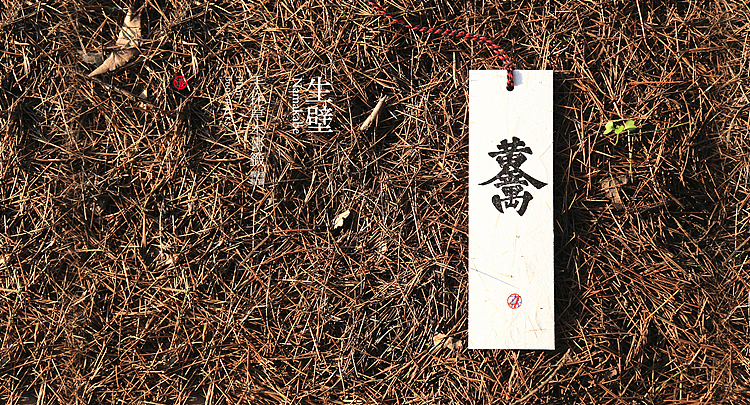 四喜手造之【千草】书签（图ZMjIxNDIzODg=） - 其他手工艺 - 站酷设计师王猛涛Tee原创素材 - 站酷ZCOOL