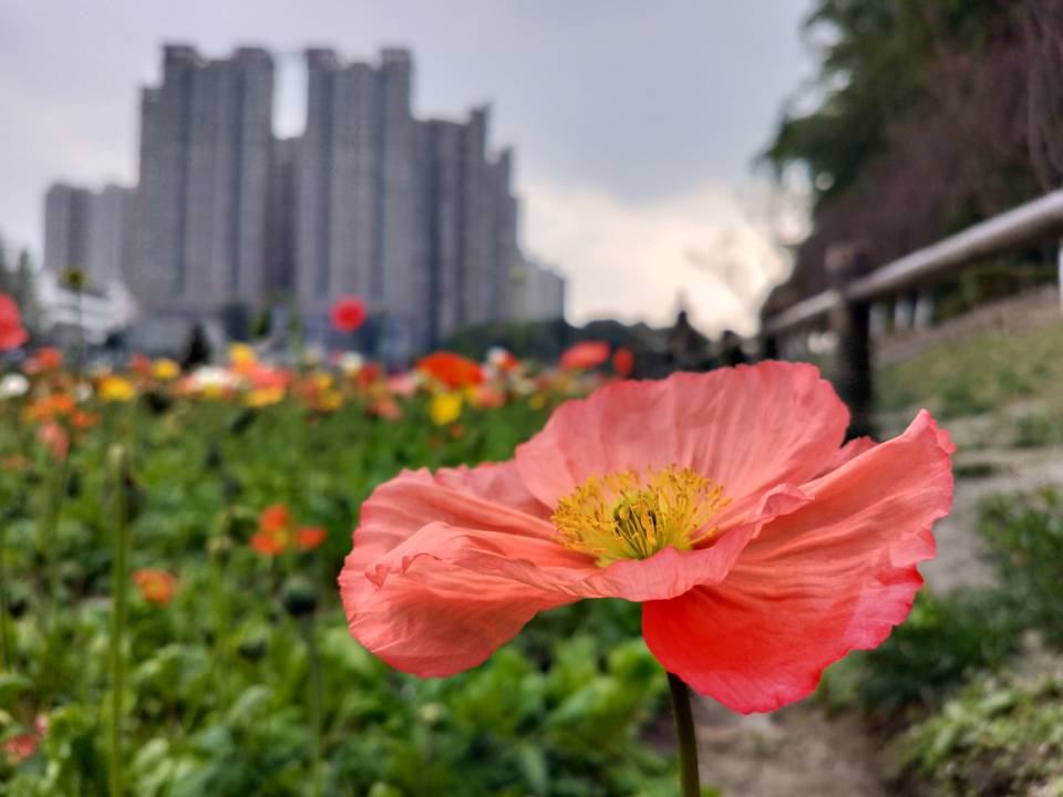 snailzZ的個人主頁（封面預(yù)覽） - 主頁封面設(shè)置 - 站酷設(shè)計師snailzZ原創(chuàng)素材 - 站酷ZCOOL