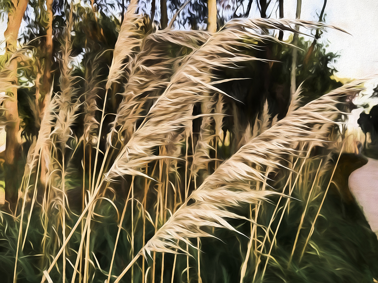 采風(fēng)（圖ZOTgxNzE5NDQ=） - 風(fēng)光攝影 - 站酷設(shè)計師美麗UI原創(chuàng)素材 - 站酷ZCOOL