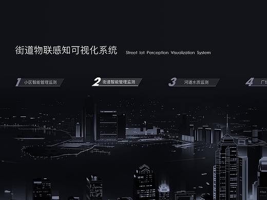 数据可视化-对外服务