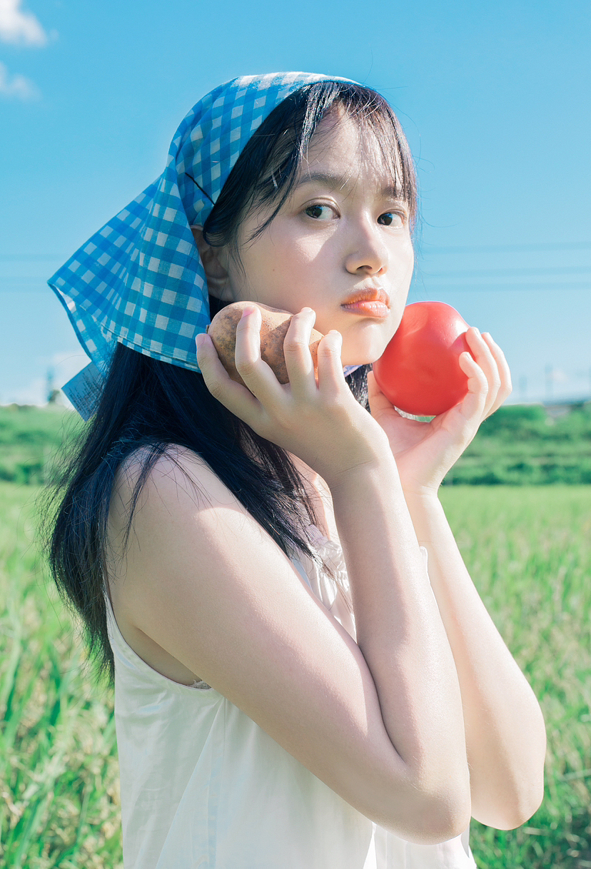 去年拍的夏日稻田