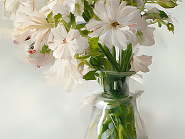 #AI创作实验室#花