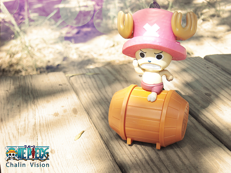 介个就不用介绍了大家都认识:萌宠乔巴