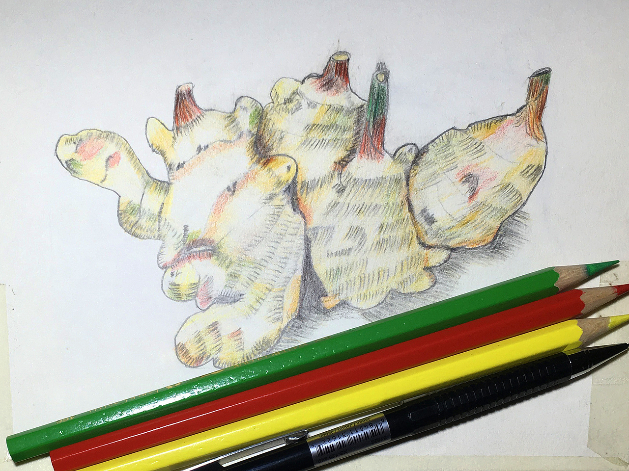 自己练习的一些彩铅画