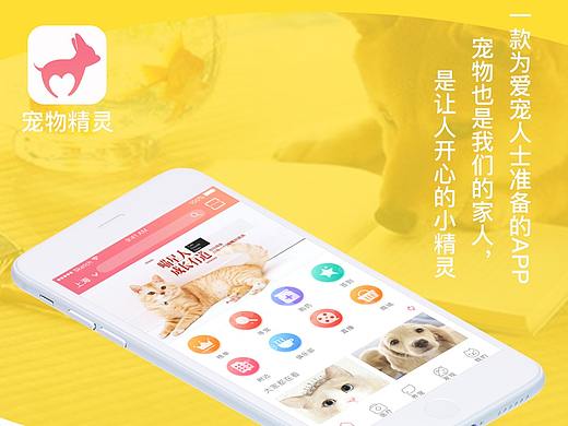 宠物精灵APP设计（竞品分析+UI视觉规范）