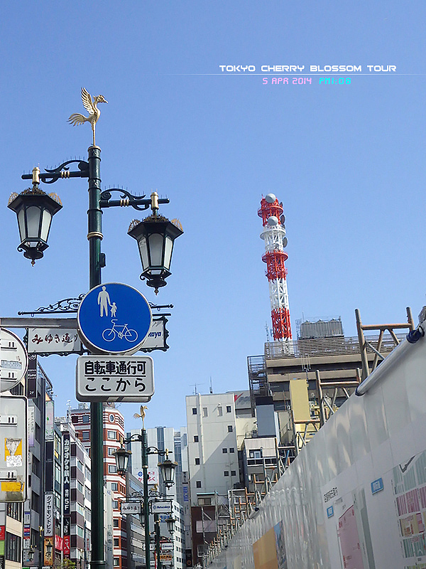 2014日本賞櫻之旅