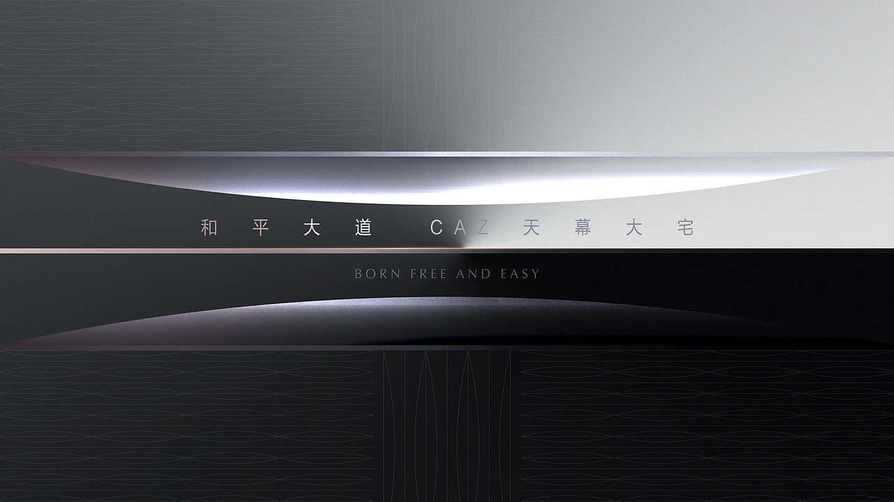 竞标作品-天逸（图ZMjkyMjU0NDY0） - 品牌 - 站酷设计师尚武2021原创素材 - 站酷ZCOOL