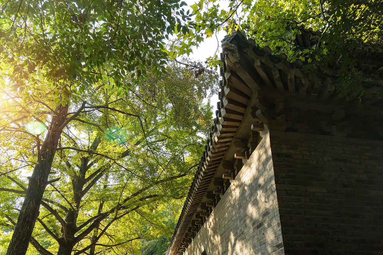日影飞去｜初秋·南京（图ZMjc1MzM5OTI4） - 人文/纪实摄影 - 站酷设计师怦怦Chen原创素材 - 站酷ZCOOL