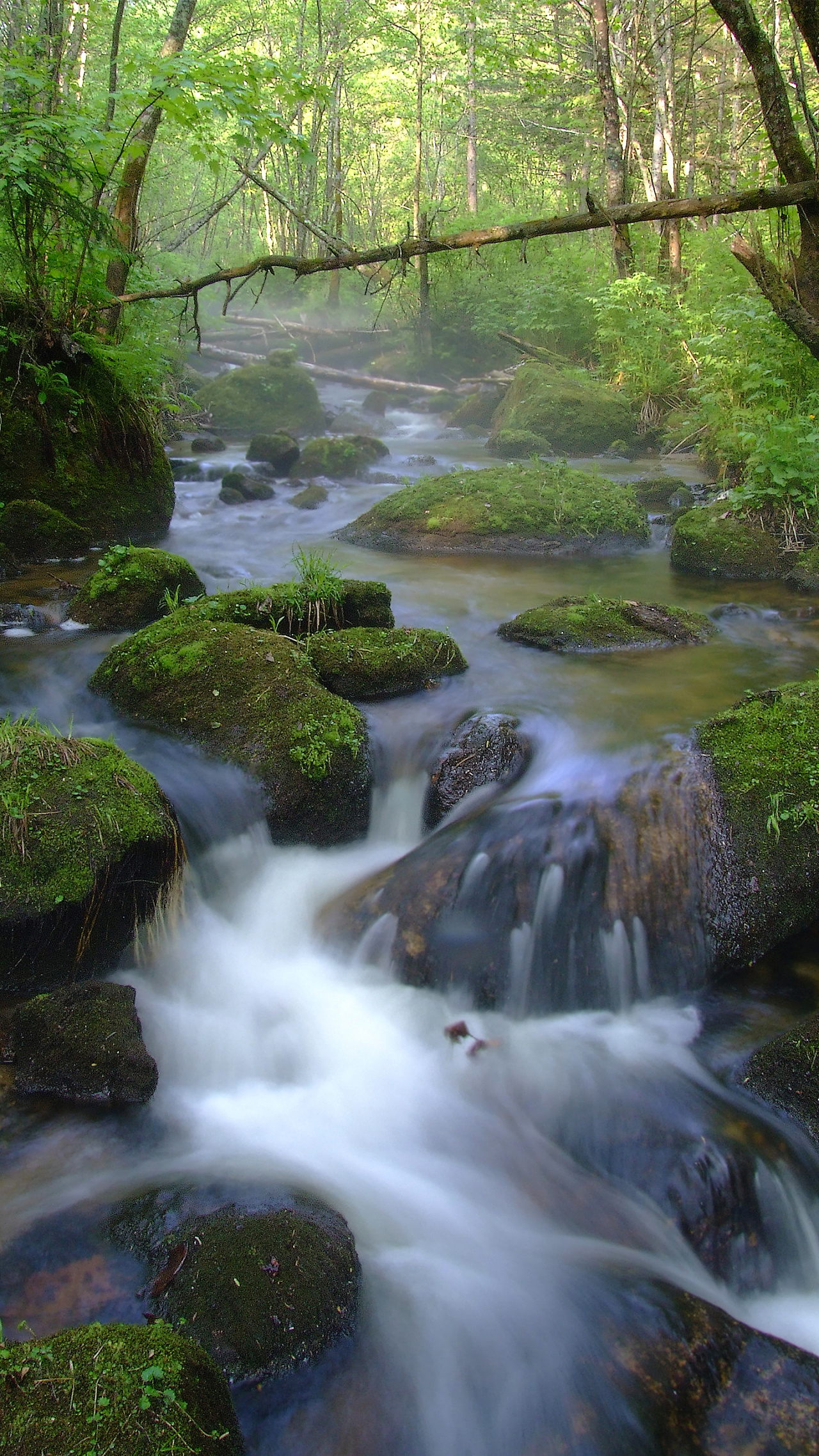 我眼中的大好河山(1)