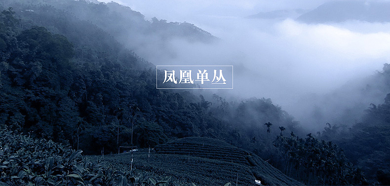 正山小种-正韵级详情（图ZODAxODA0NDA=） - 电商 - 站酷设计师kuyi酷儿原创素材 - 站酷ZCOOL