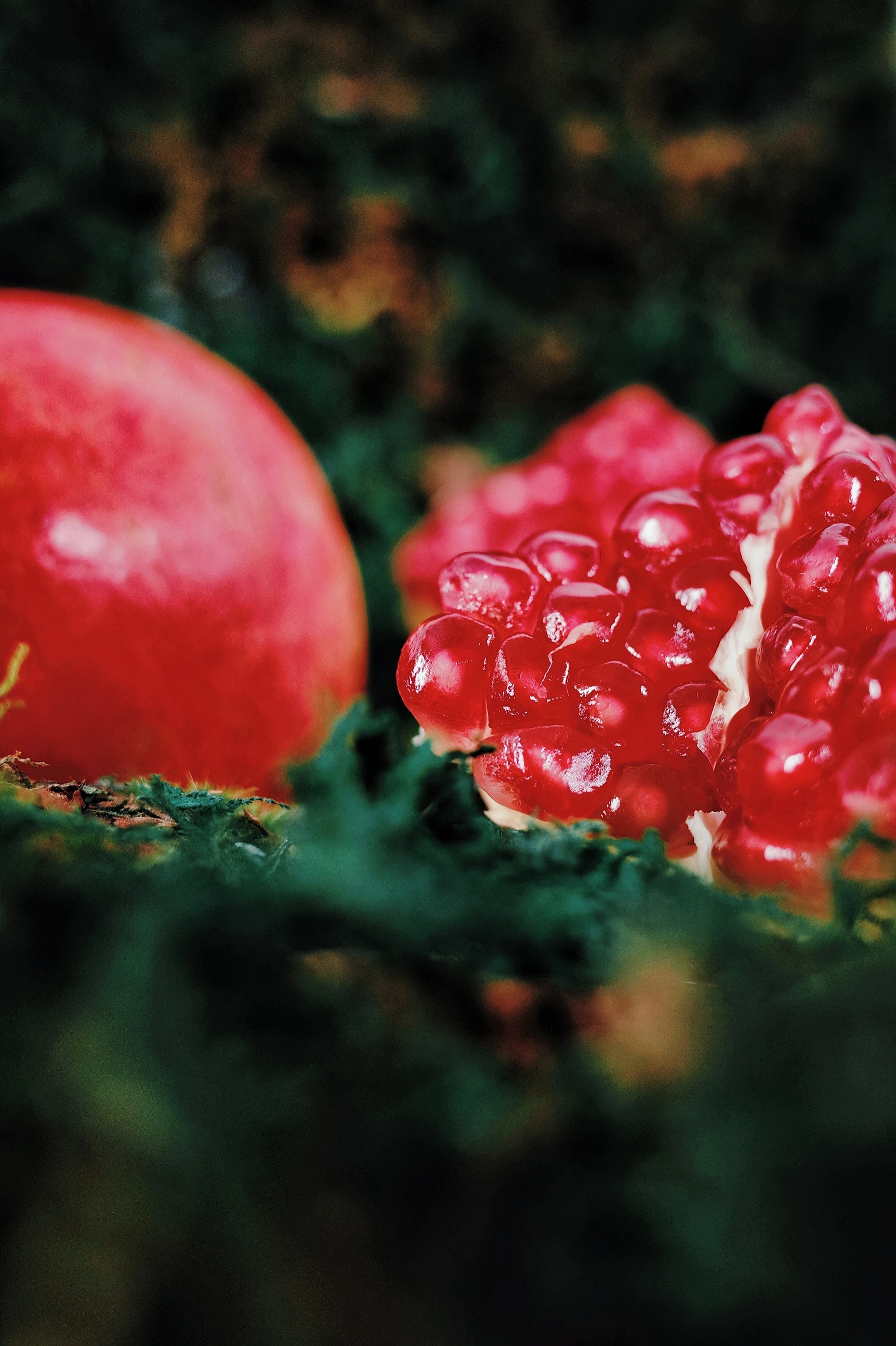 红扑扑的石榴|摄影|静物|shazhan - 原创作品 - 站酷 (zcool)