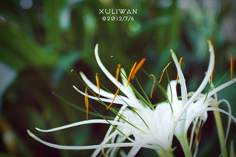 2012.7.4-7 @厦门&鼓浪屿