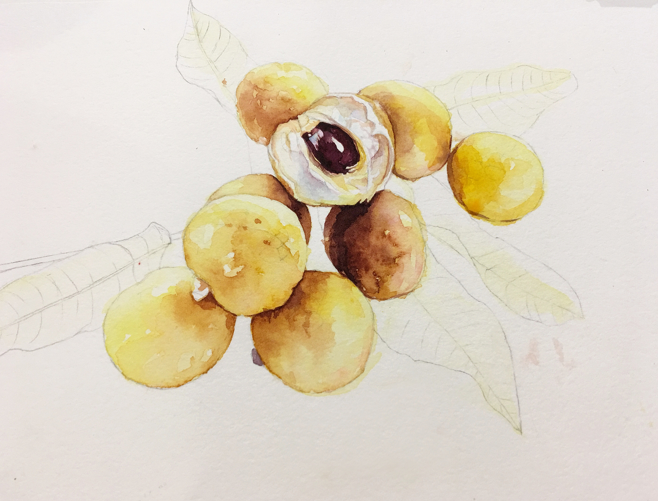 二十四节气---白露