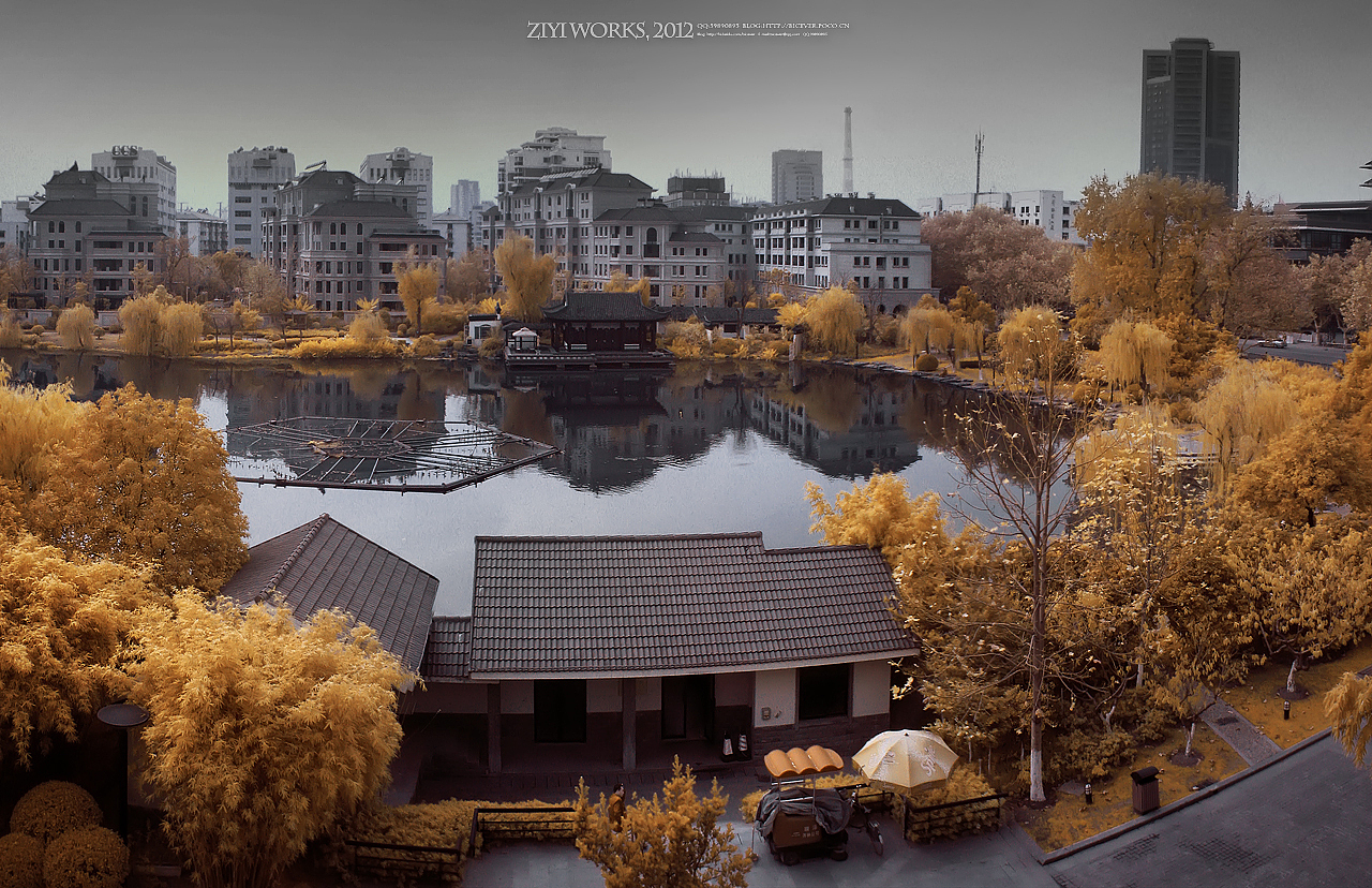 《八字山》590篇