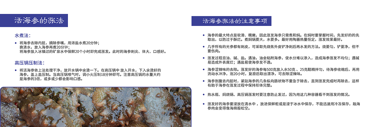 海参产品册（图ZMjMwMjMzMjcy） - 书籍/画册 - 站酷设计师秋香公子原创素材 - 站酷ZCOOL