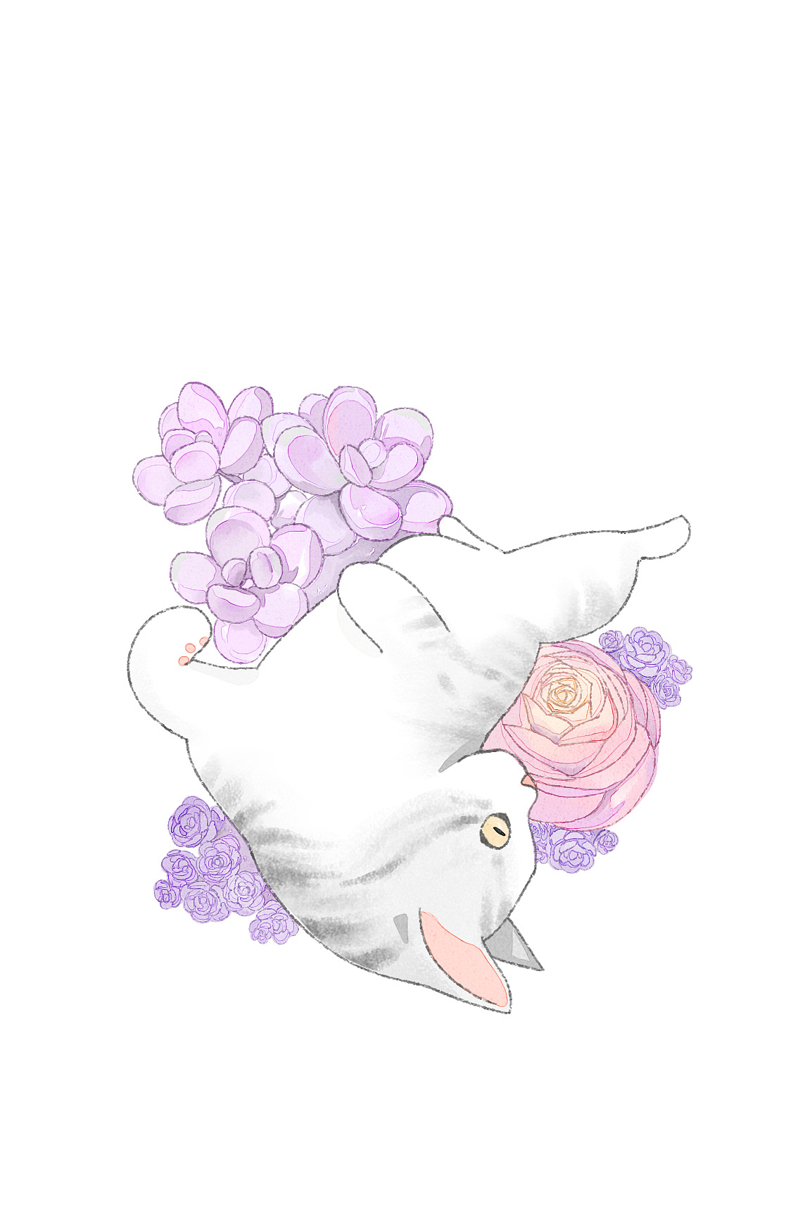 多肉和喵（一）（图ZMTQ3NTE0MzQ4） - 创作习作 - 站酷设计师软趴趴lala原创素材 - 站酷ZCOOL