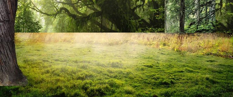 banner合成（图ZMTIzODUwNTIw） - 运营设计 - 站酷设计师大花裤衩子原创素材 - 站酷ZCOOL