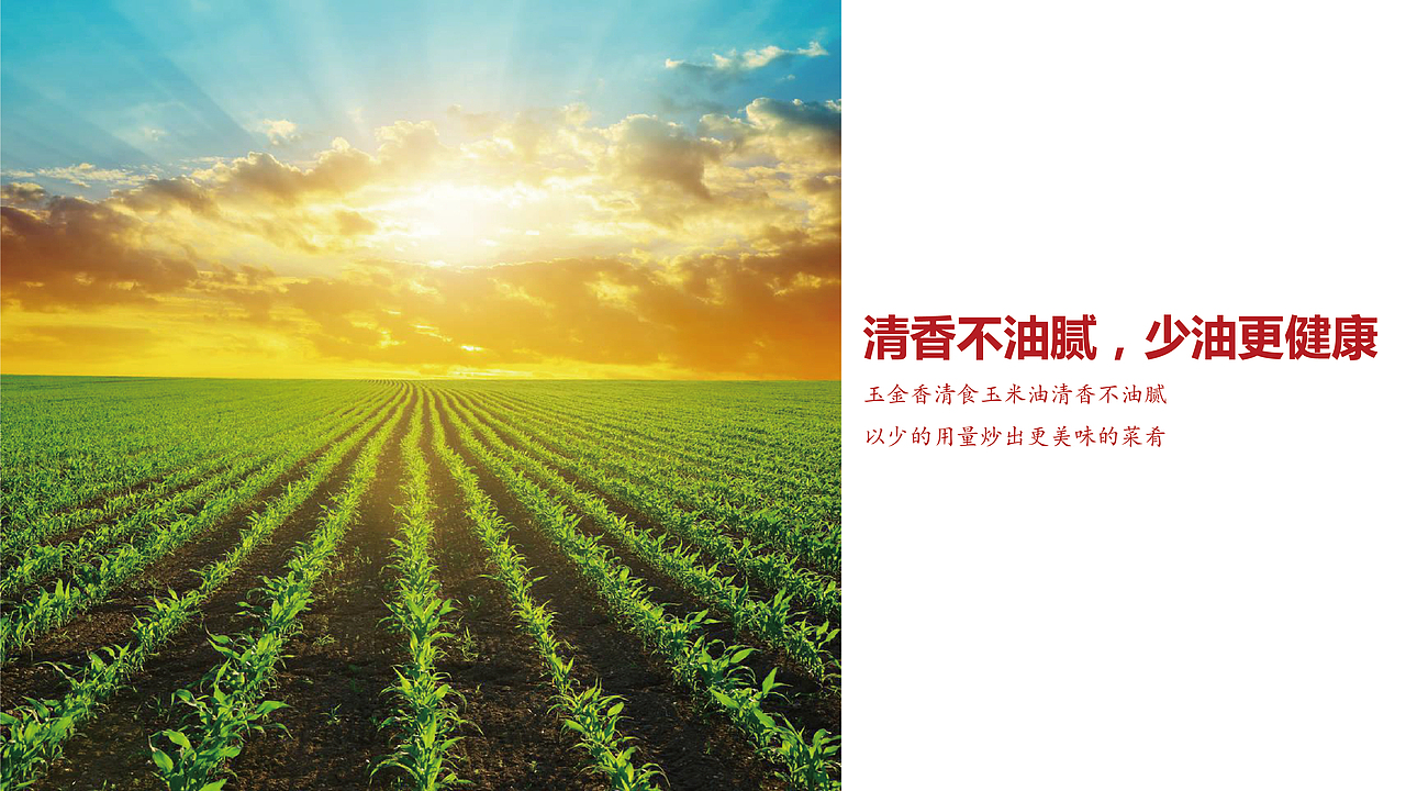 玉金香清食玉米油品牌设计（图ZMjYzNDk5MDcy） - 品牌 - 站酷设计师虎派品牌策划原创素材 - 站酷ZCOOL