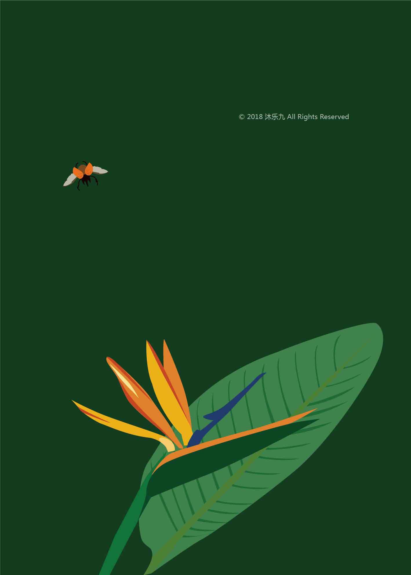 《热带植物》画一个系列的绿|插画|商业插画|沐乐九 - 原创作品