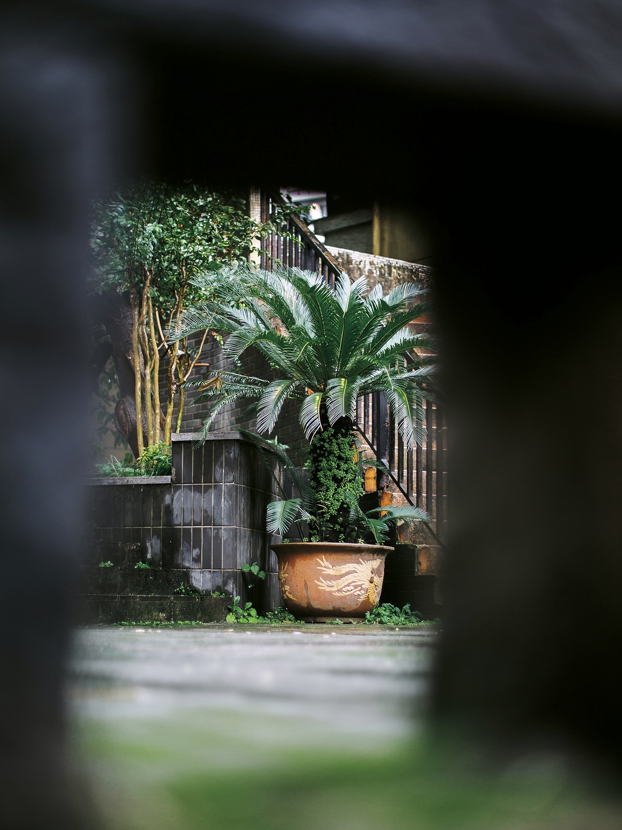 重庆森林（图ZMzY2NTg5MDAw） - 风光摄影 - 站酷设计师光子iiii原创素材 - 站酷ZCOOL