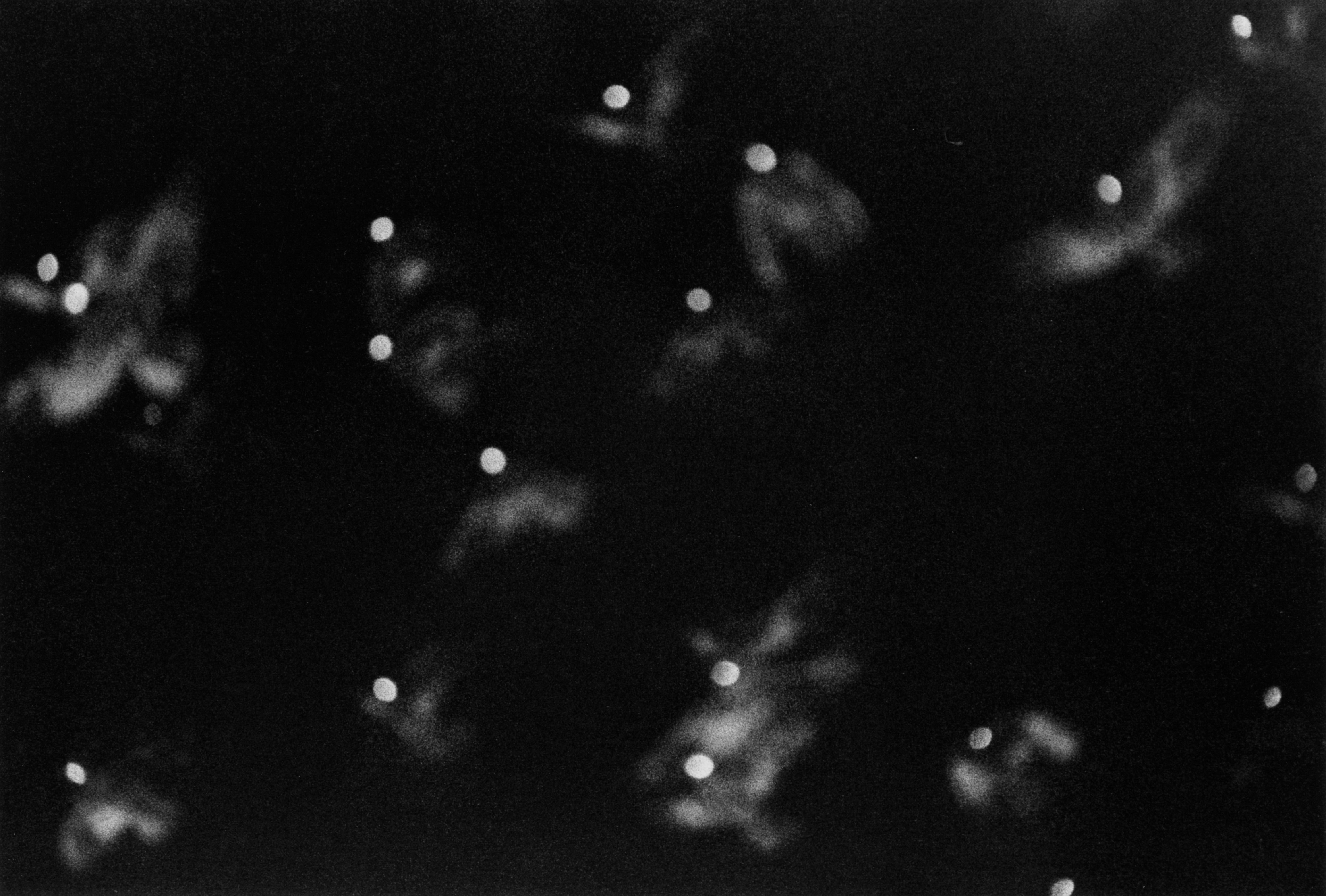 灼燒鏡片的個(gè)人主頁（封面預(yù)覽） - 主頁封面設(shè)置 - 站酷設(shè)計(jì)師灼燒鏡片原創(chuàng)素材 - 站酷ZCOOL