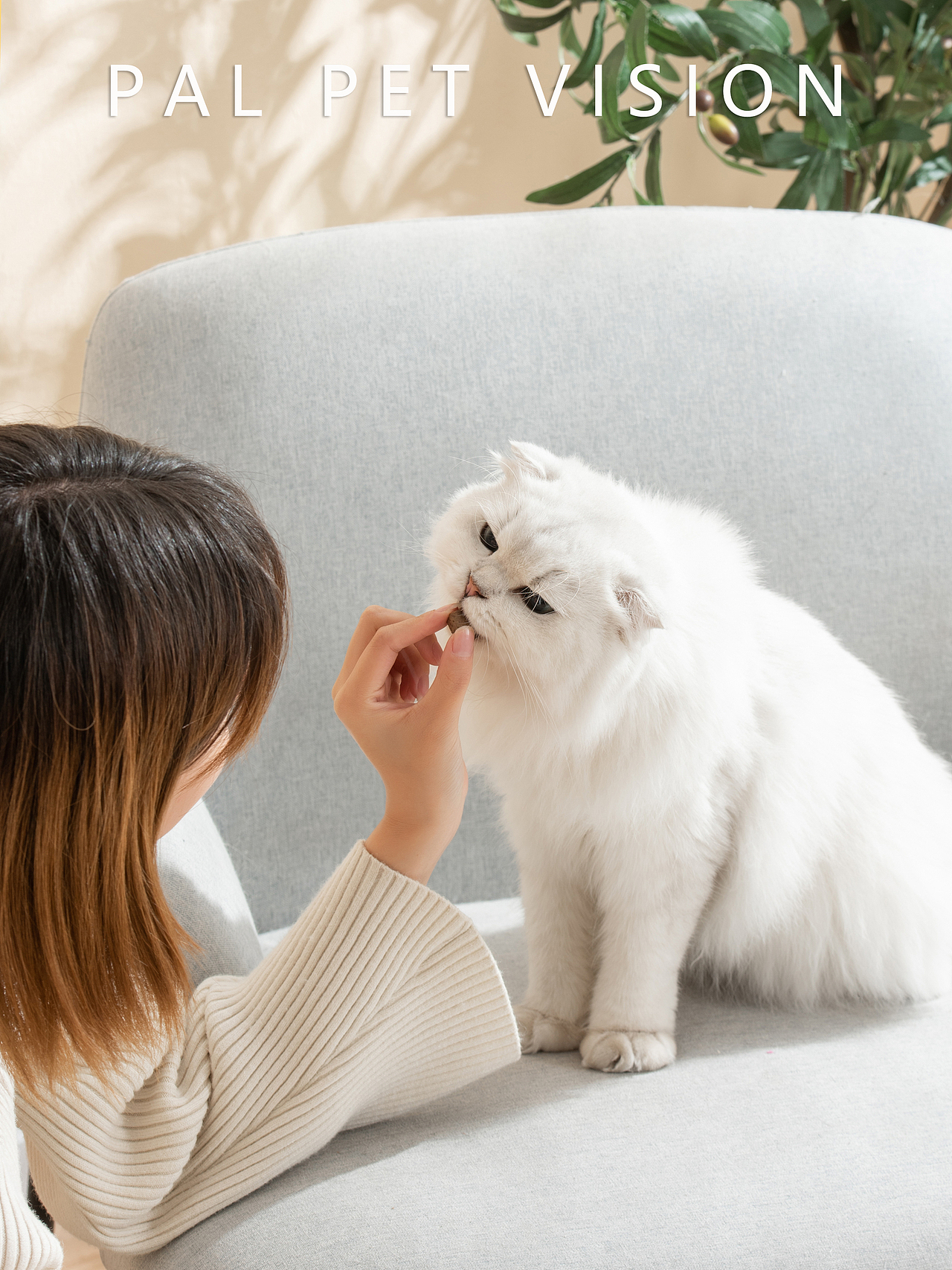 宠物用品/宠物保健品/宠物产品之春节前最后一组小合集（图ZMjQxODI2MjQ4） - 产品摄影 - 站酷设计师珀珀视觉原创素材 - 站酷ZCOOL