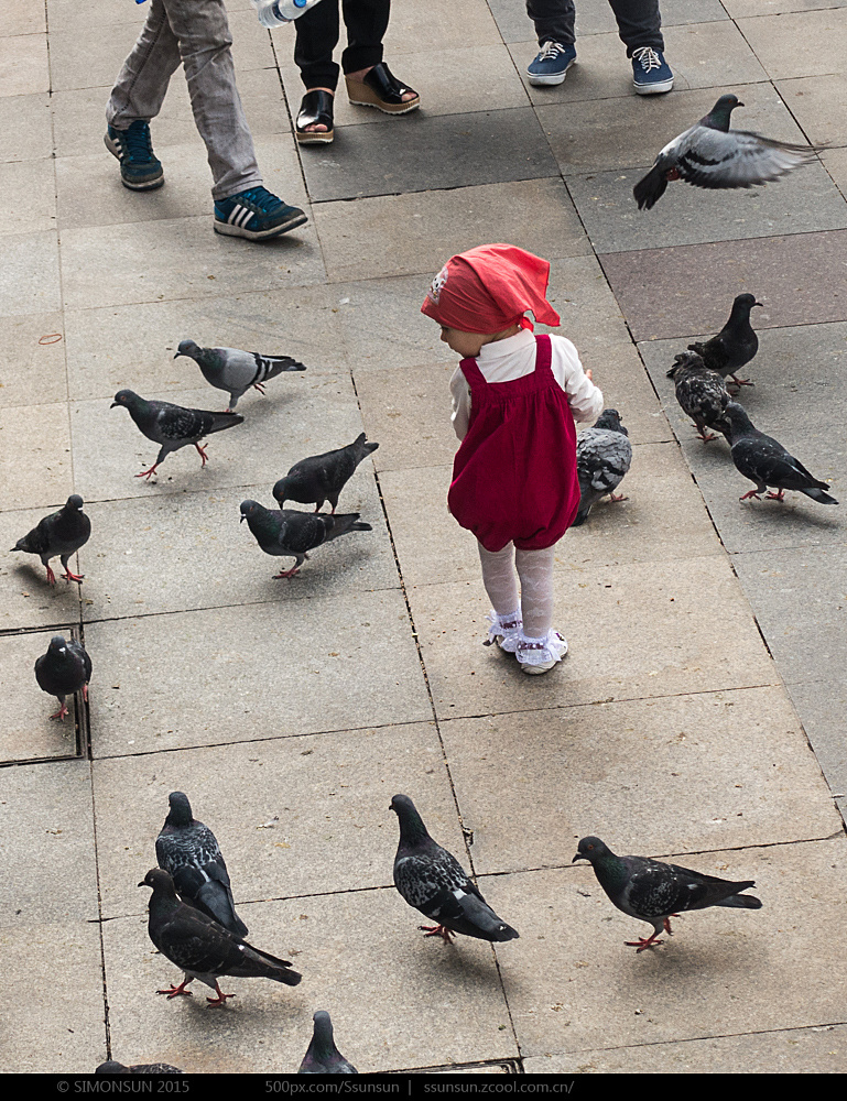 耶尼清真寺前面喂鸽子的孩子,如同在和他们一起舞蹈