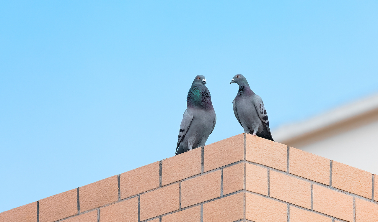 人文摄影丨 合集丨烟火人间