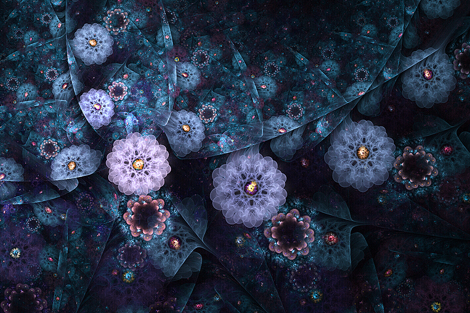 分形(Fractal)第二十一辑:美丽的多肉植物及其它