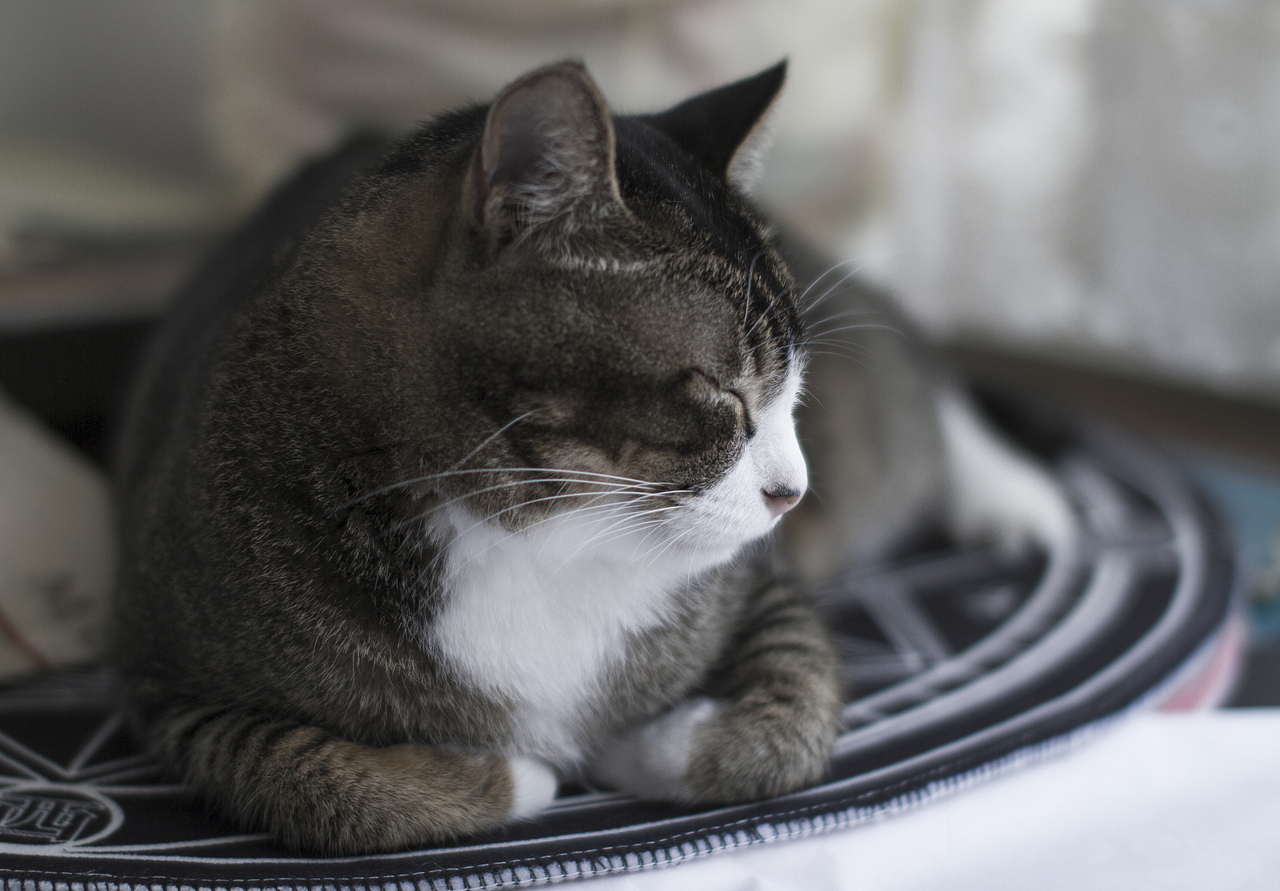 在歪瓜工作期间作品合集