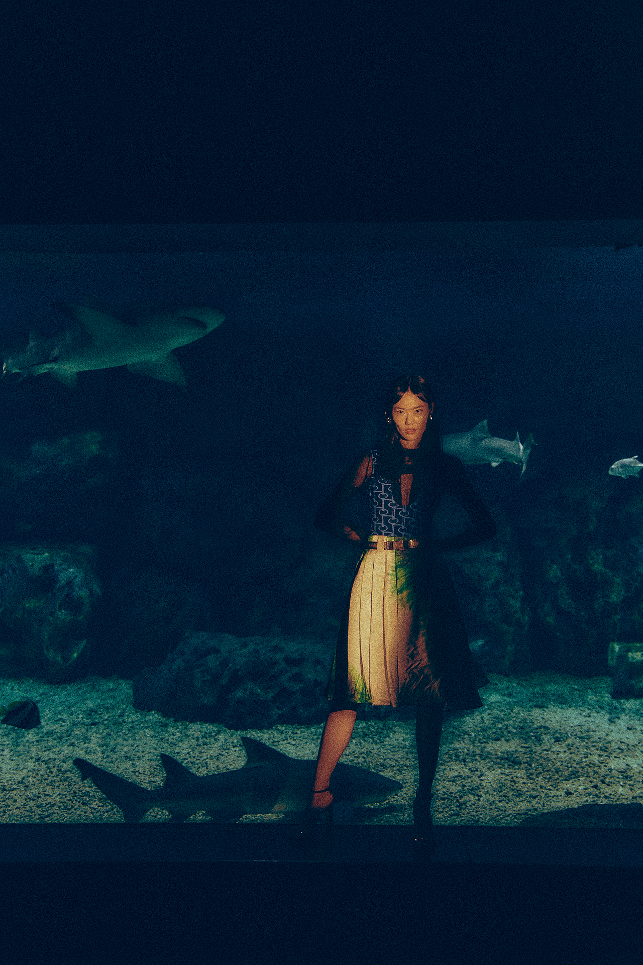 海洋馆大片（图ZMzY3MTQ5MzMy） - 时尚/艺术摄影 - 站酷设计师TimDong原创素材 - 站酷ZCOOL