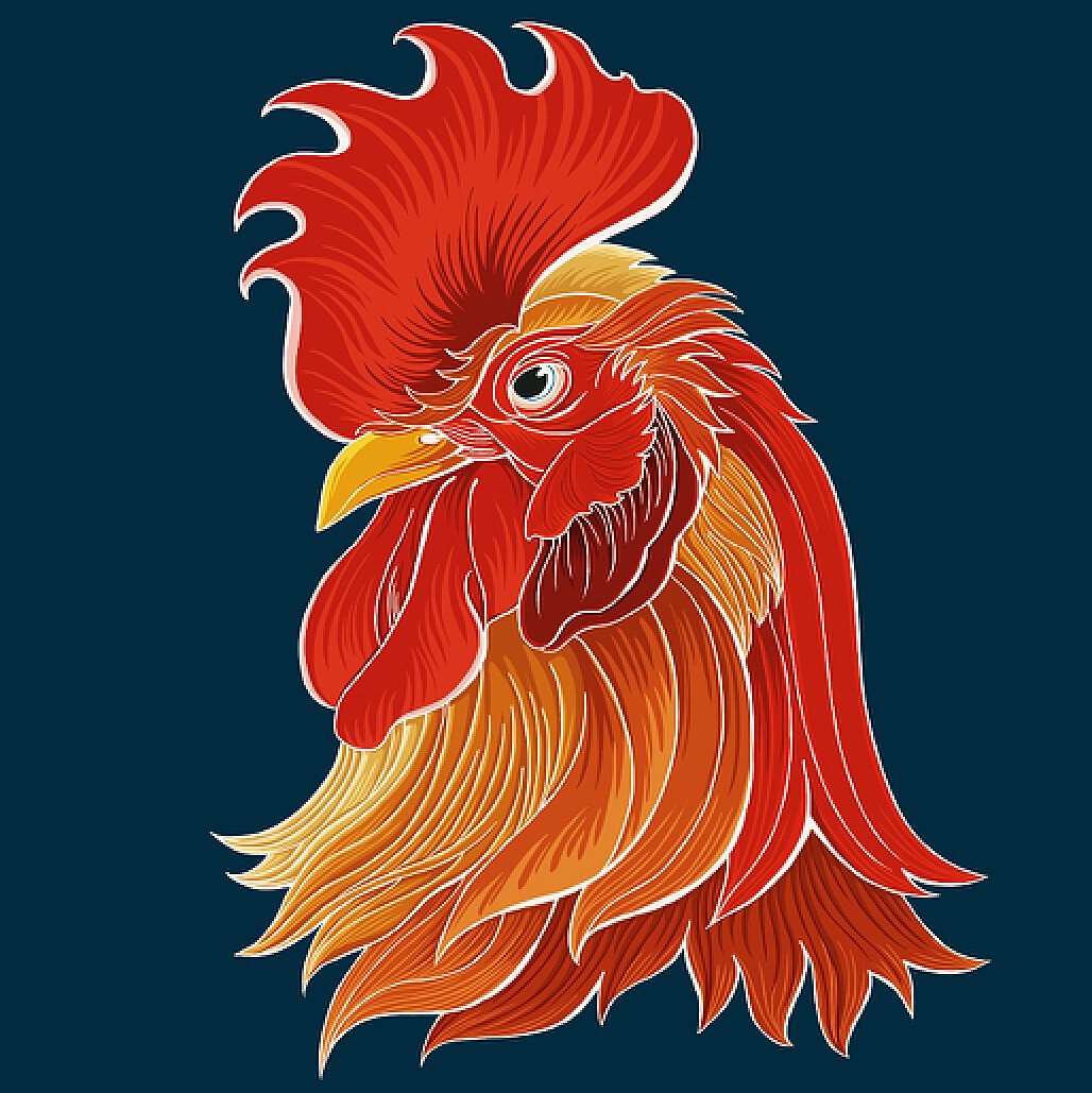鸡年画只鸡，鸡霸，制霸2017|插画|商业插画|嘿叔 - 原创作品 - 站酷 (ZCOOL)