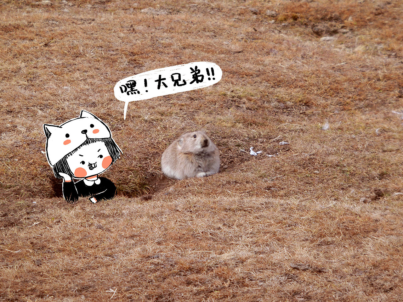 喵宝✲ 和秋天约好去旅行（图ZMTMzODcxNTky） - 单幅漫画 - 站酷设计师猫矮_MAOI原创素材 - 站酷ZCOOL