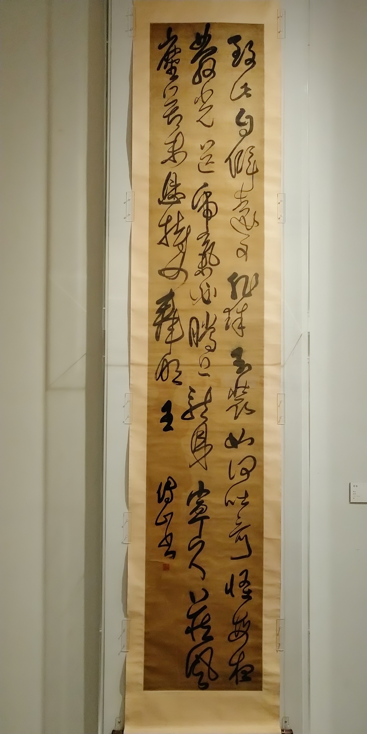 第一百O九集 焱琳浩文艺术 京城看徐悲鸿作品展