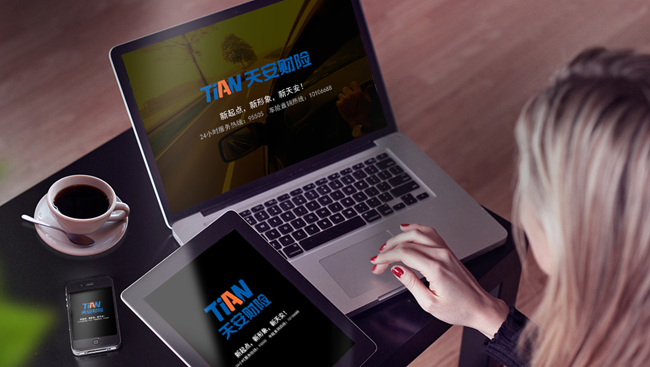 天安财产VIS设计 保险品牌设计