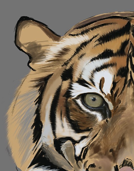 Tiger(图ZMTEyOTIxMDQ=) - 创作习作 - 站酷设计师SW伯爵原创素材 - 站酷ZCOOL