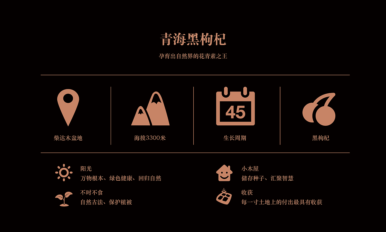 高端农产品食品 宣传手册（图ZNzE1NDg3MjA=） - 宣传物料 - 站酷设计师ninakatrine原创素材 - 站酷ZCOOL