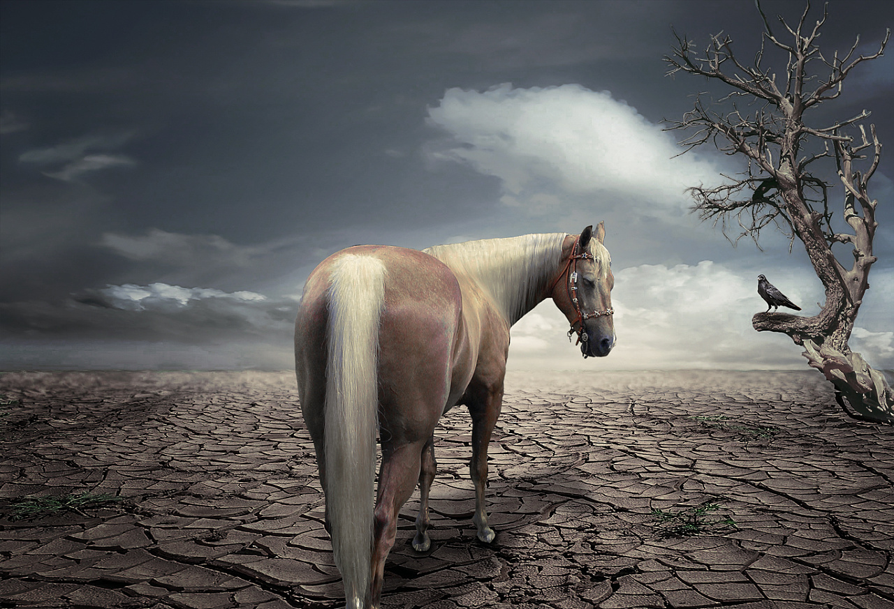 简约合成:lonely series