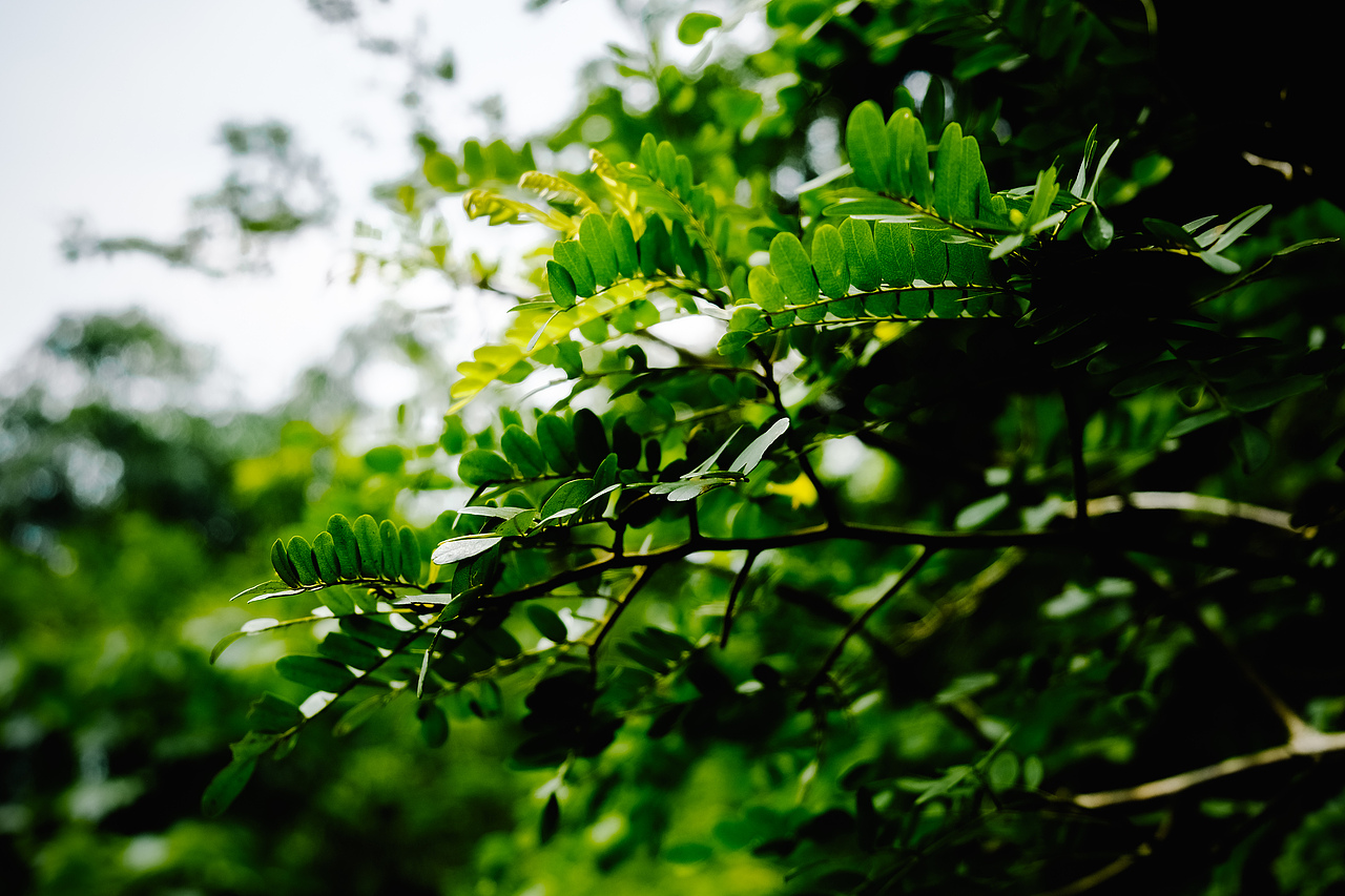 六西的小瀑布（图ZMTA5MDcxNTAw） - 风光摄影 - 站酷设计师西早映画原创素材 - 站酷ZCOOL