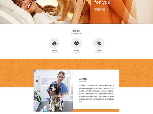 网站-宠物