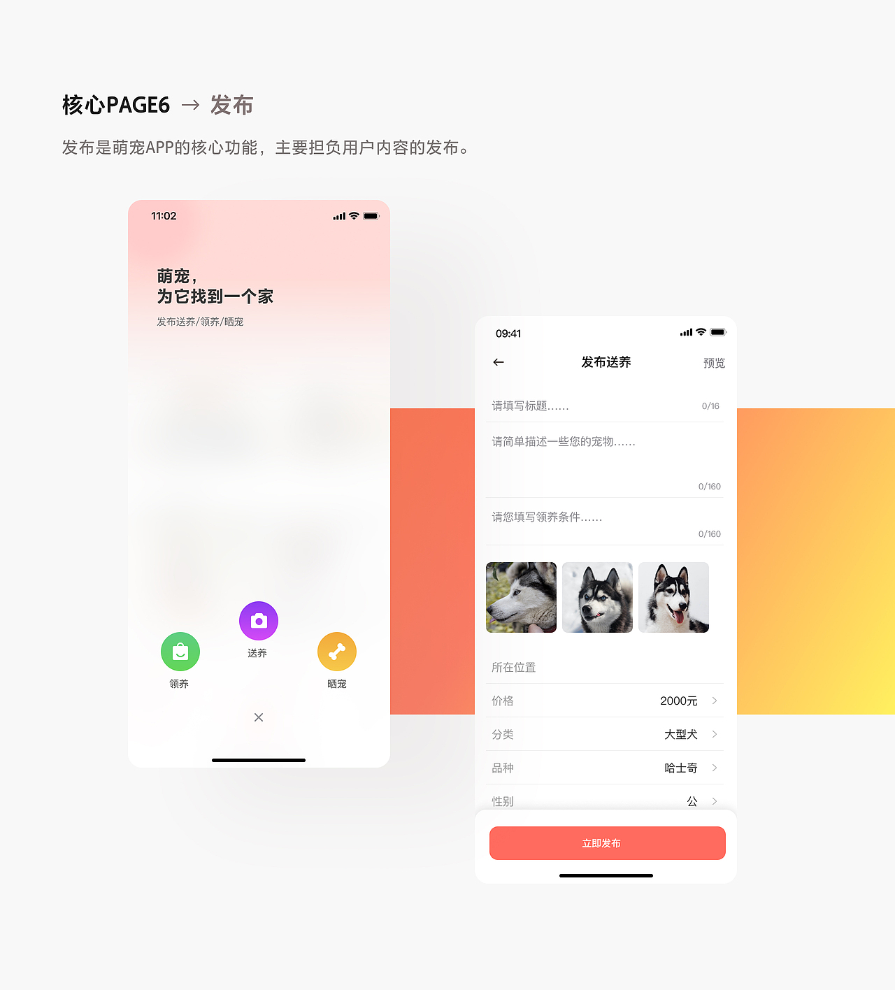 设计案例｜宠物领养社区解决方案探索（图ZMzIxNTM3MTY0） - APP界面 - 站酷设计师SorcererDesign原创素材 - 站酷ZCOOL